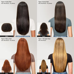 Straight | Wet-to-Dry Hair Straightener + Rapid Blow Dryer | 3 Interchangeable Combs | Ultra-Fast Drying | No Heat Damage | for All Hair